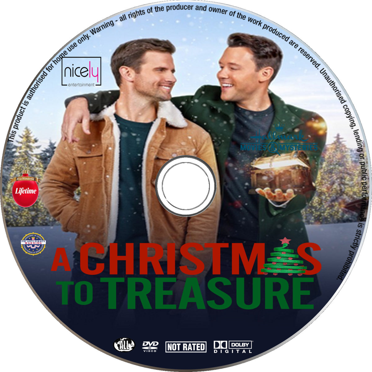 A Christmas To Treasure [DVD] [DISC ONLY] [2022] - Seaview Square
