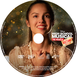 High School Musical: The Musical: The Holiday Special  [DVD] [DISC ONLY] [2020]