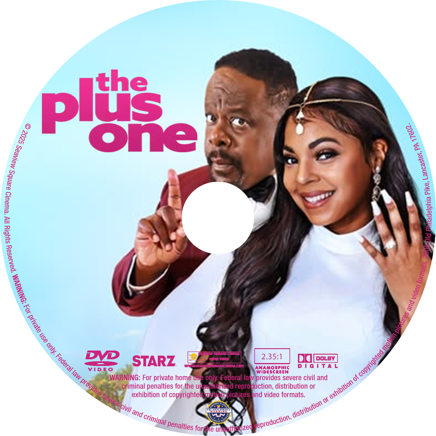 The Christmas Detective [DVD] [DISC ONLY] [2023] - Seaview Square