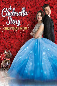 A Cinderella Story:  Christmas Wish [DVD] [2019]