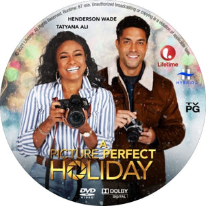 A Picture Perfect Holiday [DVD] [DISC ONLY] [2021]